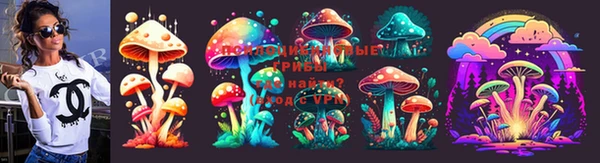 PSILOCYBIN Алзамай