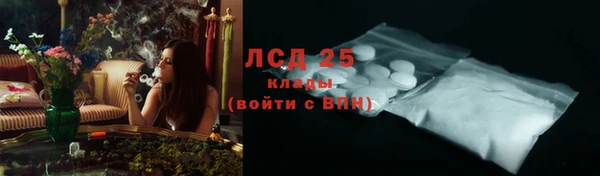 PSILOCYBIN Алзамай