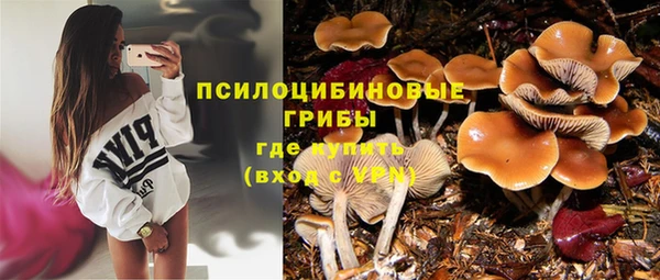 PSILOCYBIN Алзамай