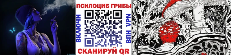Псилоцибиновые грибы мицелий  Гдов 